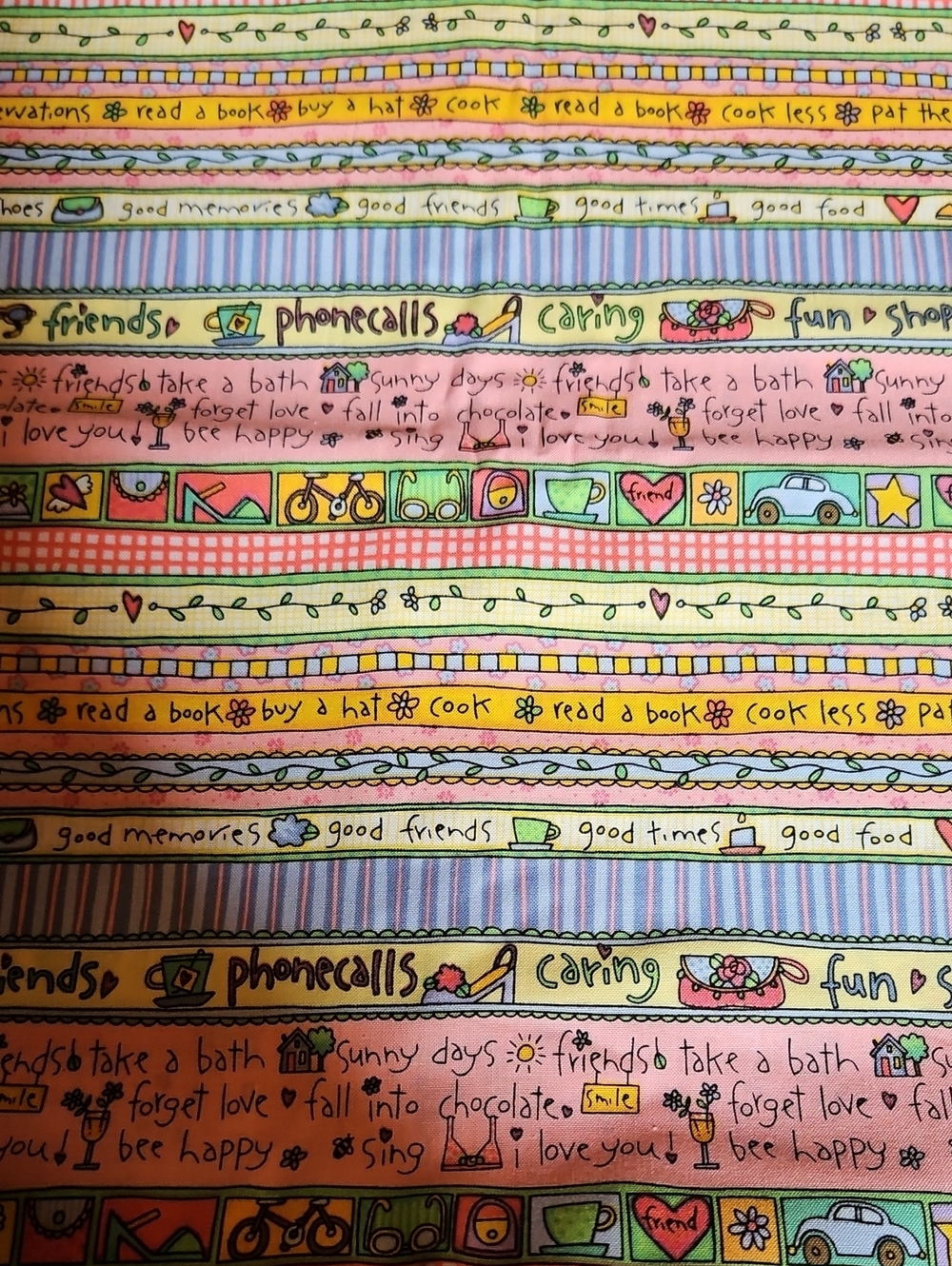 Vintage Daisy Kingdom Girlfriends Mini Border Quilt Fabric- 3 Yards